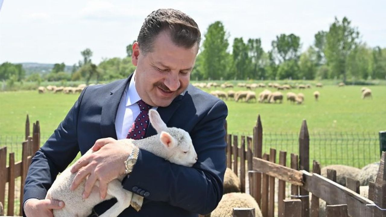 Hayvancılık atağı başladı