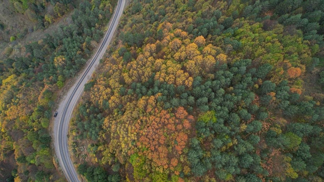Kastamonu ormanlarında sonbaharın renkleri hakim oluyor