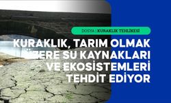 Avrupa'da derinleşen kuraklık birçok sektörü tehdit ediyor