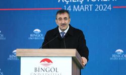Cumhurbaşkanı Yardımcısı Yılmaz: Bingöl, Avrupa Birliği ölçeğinde coğrafi işaret alan ilk bala sahip olacak