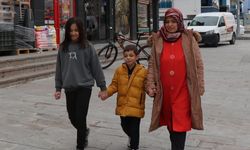 Erzincan'da çocuğu sahipsiz köpeklerin saldırısına uğrayan anne çözüm bekliyor
