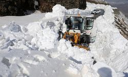 Muş ve Hakkari'de ekipler metrelerce karın bulunduğu yollarda çalışma yürüttü