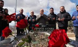Sivas'ta meslektaşları gazeteci İsmail Güneş'i kabri başında andı