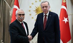 Cumhurbaşkanı Erdoğan, Anayasa Mahkemesi Başkanı Özkaya'yı kabul etti