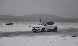 Kars'ta nisanda kar etkili oldu