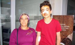 Antalya'da sahipsiz köpeklerden kaçarken otomobil çarpan genç yaralandı