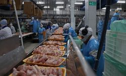 Beş yılda üretilen kanatlı etinin yaklaşık 4'te 1'i ihraç edildi