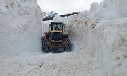 Trabzon'un yüksek rakımlı bölgelerinde karla mücadele çalışması sürüyor
