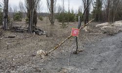 4 AB üyesi ülkeden Rusya ve Belarus sınırına savunma hattı inşa edilmesi çağrısı