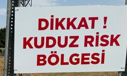 Niğde'de sahipsiz köpeğin bir kişiyi ısırdığı mahallede kuduz karantinası başlatıldı