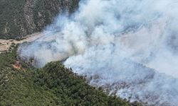 Karabük'te çıkan orman yangınına müdahale ediliyor