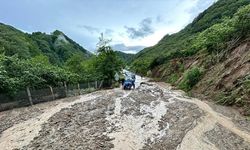 Ordu'nun İkizce ilçesinde şiddetli yağış hasara neden oldu