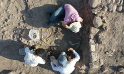 Domuztepe Höyüğü'nde 7 bin 600 yıllık çocuk ve bebek iskeletleri bulundu