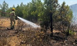 Mersin'de 4 noktada orman yangını çıkaran tutuklu 2 zanlı birbirini suçladı