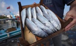 Akçakoca Limanı'na balıkçılar bol miktarda palamutla döndü