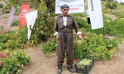 Şırnak'ta "Behdini Üzümü Hasat Şenliği" düzenlendi