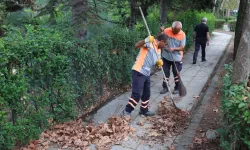 İstanbul Bakırköy'de temizlik seferberliği