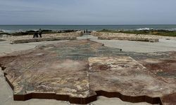 Afrika'nın en güney ucunda, iki okyanus manzarası sunan doğa yolculuğu: Cape Agulhas Ulusal Parkı