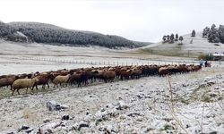 Kars'ta şehir merkezine mevsimin ilk karı yağdı