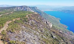 Menteşe'de ormancılar 6 kilometre "yangın şeridi" açarak alevlerin önünü kesti