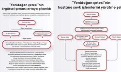 "Yenidoğan çetesi"nin örgütsel şeması ortaya çıkarıldı