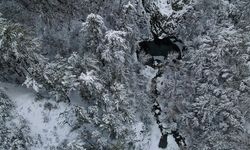 Kastamonu'da Kocagöl ve çevresindeki ormanlar kar yağışı sonrasında beyaz örtüyle kaplandı