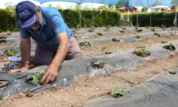 Konya’da başvurular 15 Ocak'ta başlıyor