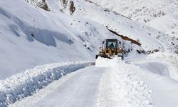 "Kar kaplanları" Siirt'te kapanan yolları açmak için gece gündüz mesaide