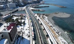 Sarp Sınır Kapısı ve Karadeniz Sahil Yolu'nda tır yoğunluğu oluştu