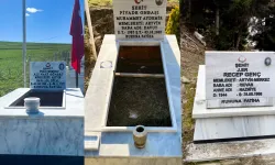 Artvin'de şehit mezarlarına bakım