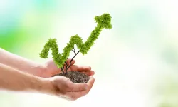 BNP Paribas Cardif Emeklilik'in sürdürülebilirlik odaklı BES Fonu (BSR) 1 yaşında