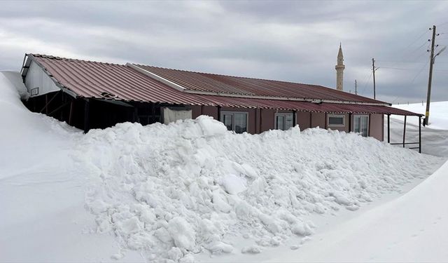 Ardahan'da yayla evleri ilkbaharda kar altında kaldı