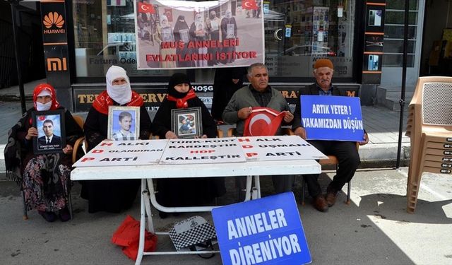 Muş'ta aileler HDP önündeki eylemlerinde 100. haftayı geride bıraktı