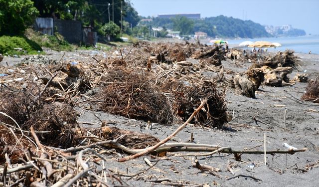 Akçakoca sahilleri selin taşıdığı ağaç parçalarıyla doldu