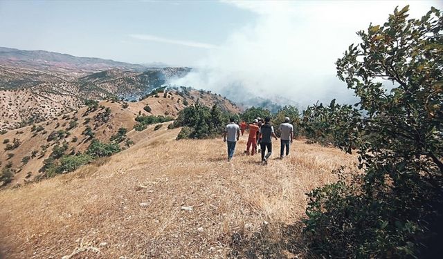 Bingöl'de ormanlık alanda çıkan yangına müdahale sürüyor