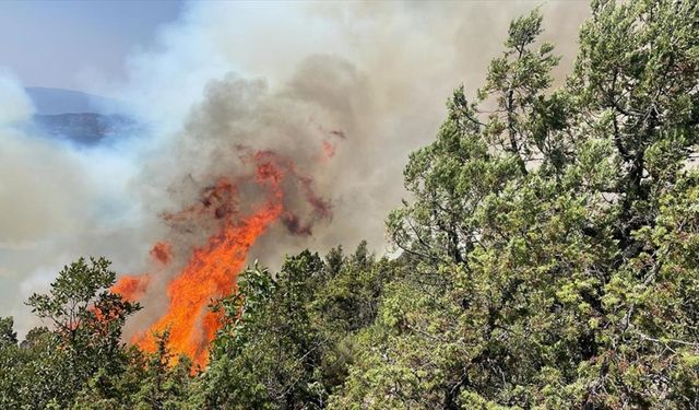 Bolu'da orman yangınına müdahale ediliyor