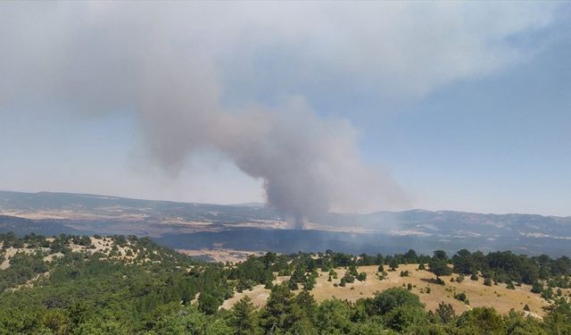 Eskişehir'de ormanlık alanda çıkan yangına müdahale ediliyor