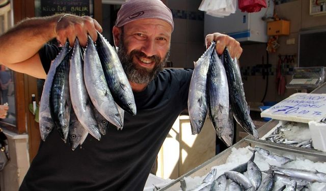 Karadeniz'de palamut ağlara takıldı