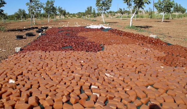 Şanlıurfa'da üzüm geleneksel yöntemlerle çeşitli ürünlere dönüştürülüyor