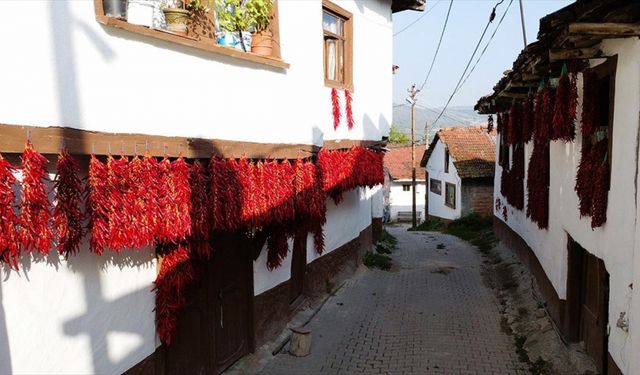 Tescilli "Çukurören biberi"nin üretildiği köy, kurutma mevsiminde kıpkırmızı oldu