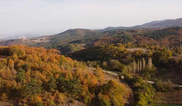 Bilecik'in yüksek kesimleri sonbahar renklerine büründü