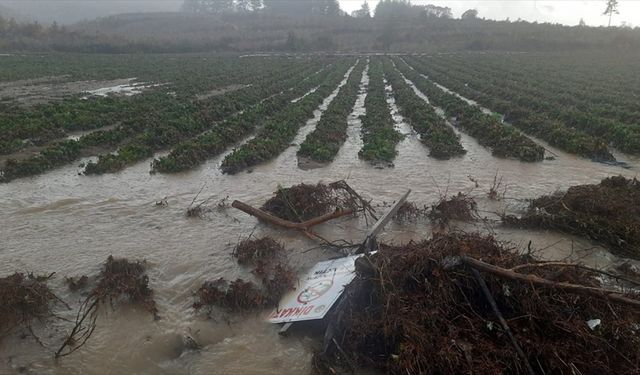 Çanakkale'deki şiddetli yağıştan 7 bin dönüme yakın tarım arazisi zarar gördü