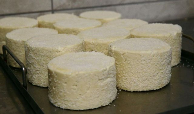 Mengen'in coğrafi işaretli peyniri, kooperatif çalışmasıyla ününü yayacak