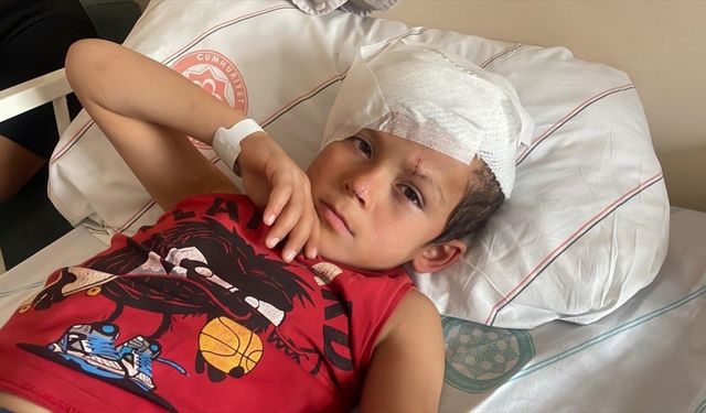 Sivas'ta sahipsiz köpeğin saldırısında yaralanan çocuk 4 ameliyat geçirdi