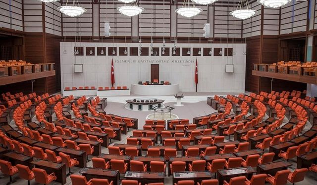 TBMM, ilk kez seçilen üye sayısı oranında Avrupa ikincisi