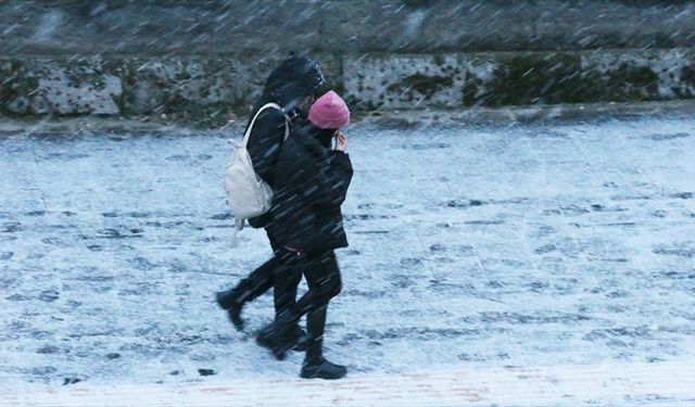 Ağrı ve Kars'ta kar yağışı etkili oluyor