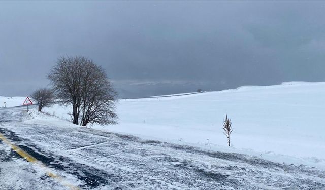 Ardahan ve Kars'ta kar etkili oluyor