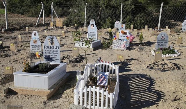 "Can dostlarını" yitirenler hayvan mezarlığında teselli buluyor