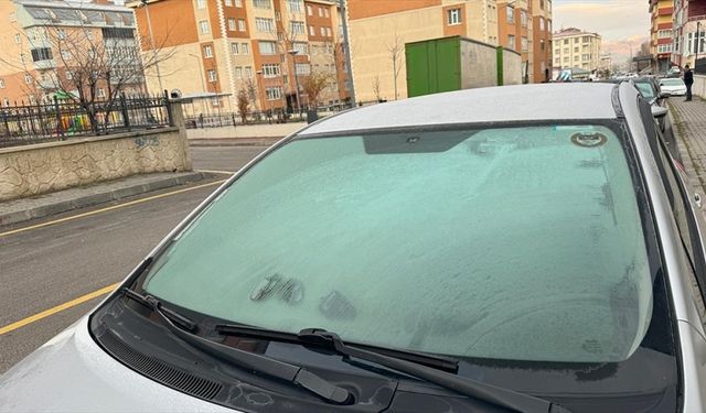 Erzurum ve Kars’ta araç camları buz tuttu, bitkiler kırağıyla kaplandı