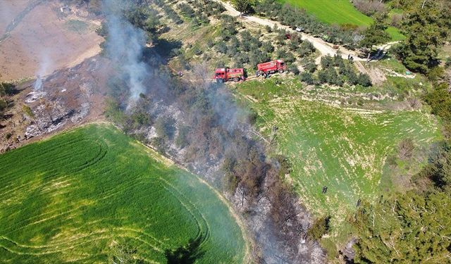 Osmaniye'de orman yangınında 5 dekarlık alan zarar gördü